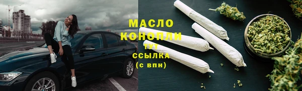 индика Кукмор