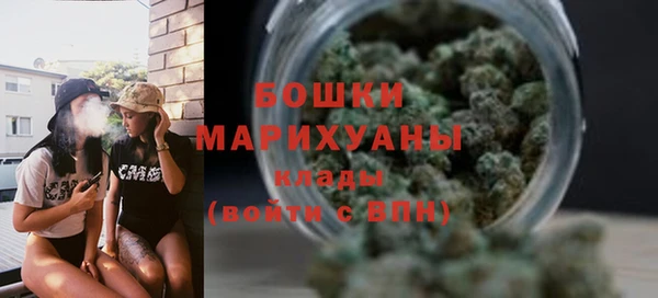 PSILOCYBIN Кулебаки