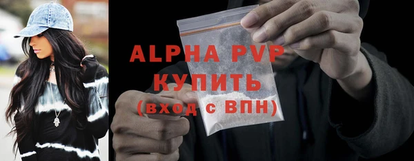 индика Кукмор