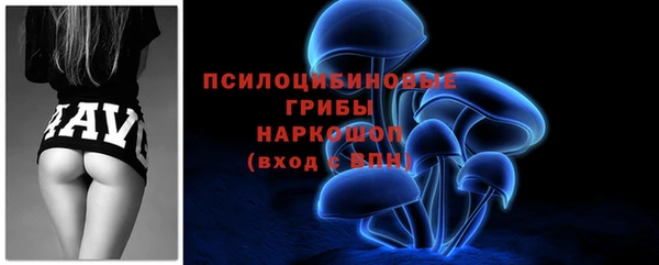 индика Кукмор