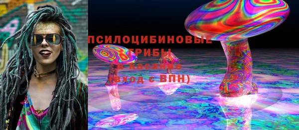 индика Кукмор