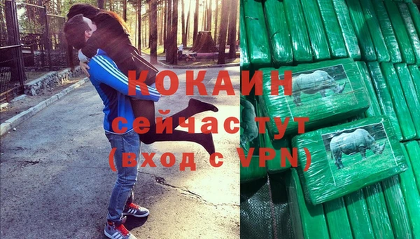 шишки Куйбышев