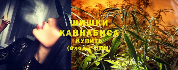 индика Кукмор