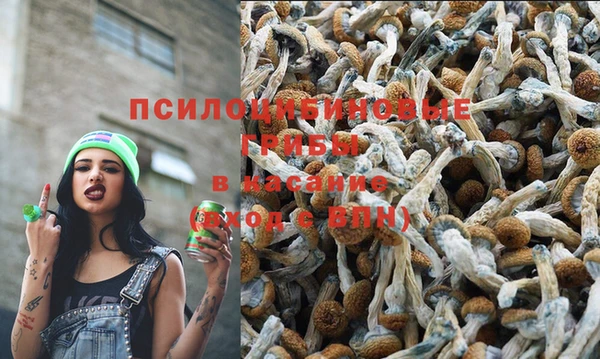 шишки Куйбышев