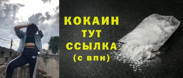 PSILOCYBIN Кулебаки
